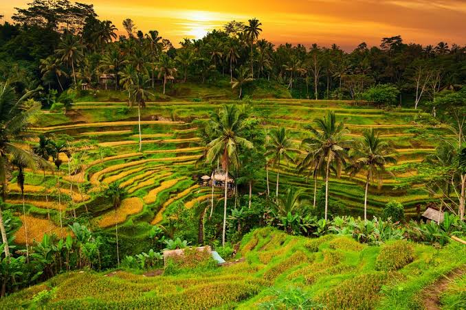 Ilustrasi artikel: Gianyar Regency