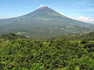 Ilustrasi artikel: The highest mountain in Bali that you must visit