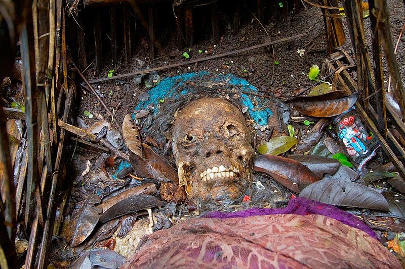 Ilustrasi artikel: Terunyan, a traditional village in Bali with a unique burial tradition