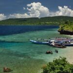 Ilustrasi artikel: Menjangan Island – Best diving spot in north Bali